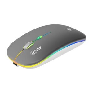 EVM EnGrip EWLM-360 Wireless Silver PC Mouse